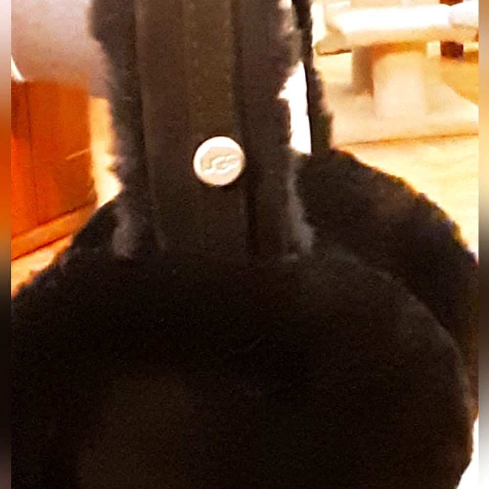 UGG Ear Muffs